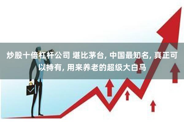 炒股十倍杠杆公司 堪比茅台, 中国最知名, 真正可以持有, 用来养老的超级大白马