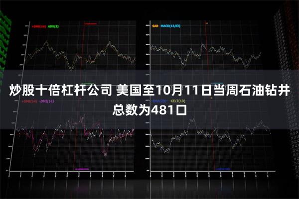 炒股十倍杠杆公司 美国至10月11日当周石油钻井总数为481口