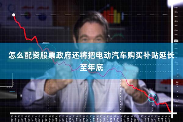 怎么配资股票  政府还将把电动汽车购买补贴延长至年底