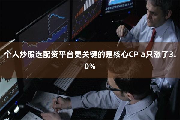 个人炒股选配资平台更关键的是核心CP a只涨了3.0%